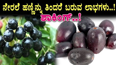 Amazing Health Benefits Of Jamun Fruit Health Tips Top Kannada Tv