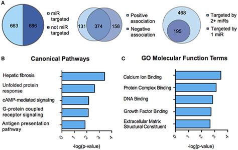 Frontiers Integrative Analysis Of Sex Specific MicroRNA Networks