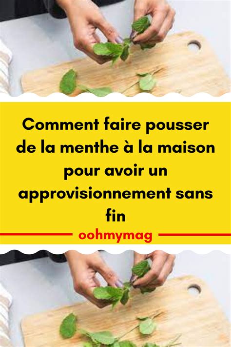 Comment Faire Pousser De La Menthe La Maison Pour Avoir Un