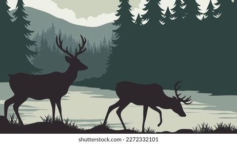 Silhouette Two Deer Grazing Grass Near Stock Vector (Royalty Free ...