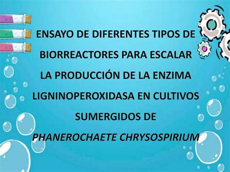 Ensayo De Diferentes Tipos De Biorreactores PPT