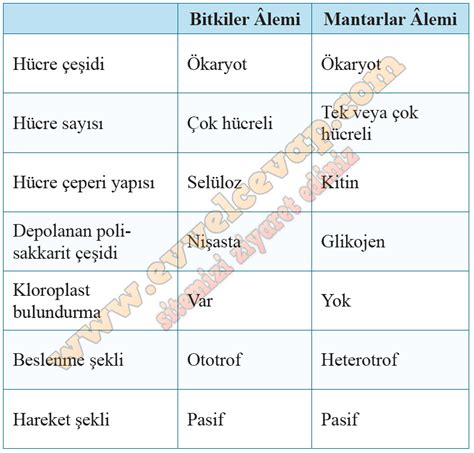 S N F Biyoloji Kavram Retimi Kitab Cevaplar Sayfa