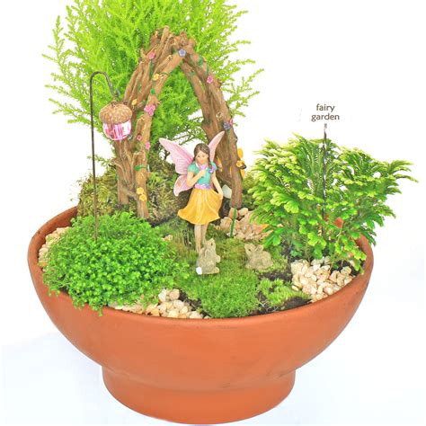 Fairy Garden Kits Fairy Garden Boxed Kits Fairy Gardens Uk
