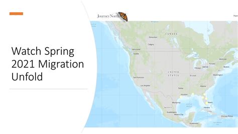 Robin Migration Map 2021 - New Orleans Zip Code Map