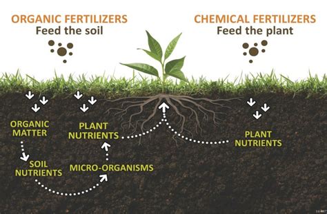 Fertilizer Facts Labels What Ratios Represent Joe Gardener