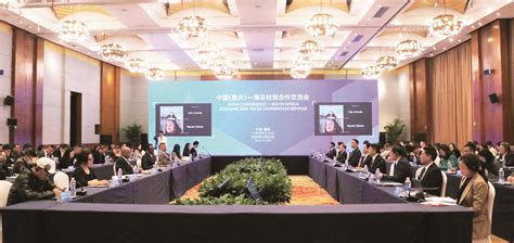 共话合作 共谋发展 中国（重庆）—南非经贸合作交流会在渝举行重庆与世界