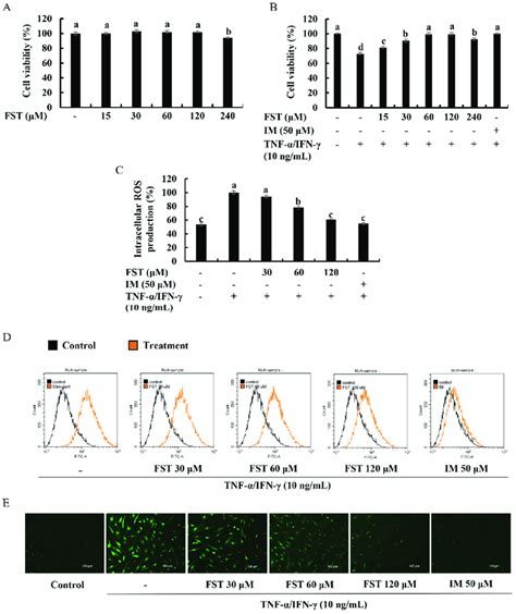 Cytoprotective Effect Of Fst On Human Dermal Fibroblasts Hdf A