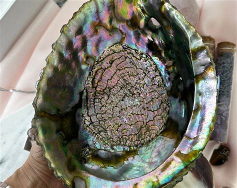 Large Beautiful Abalone Shell Made For Smudging Or Decor Smudging Bowl