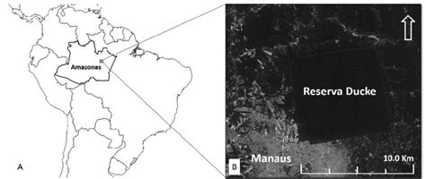 Location Of The Reserva Florestal Adolpho Ducke A Map Of South Download Scientific Diagram