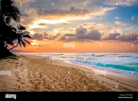 Hawaii Colorful Tropical Sunset On Sunset Beach Park North Shore Oahu