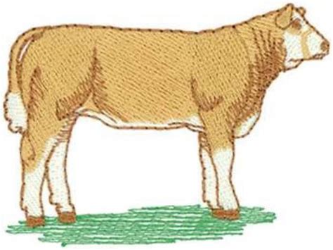 Show Heifer Machine Embroidery Design | Embroidery Library at ...