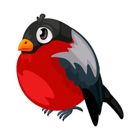 Premium Vector Beautiful Cartoon Bullfinch Bird Vector Illustration