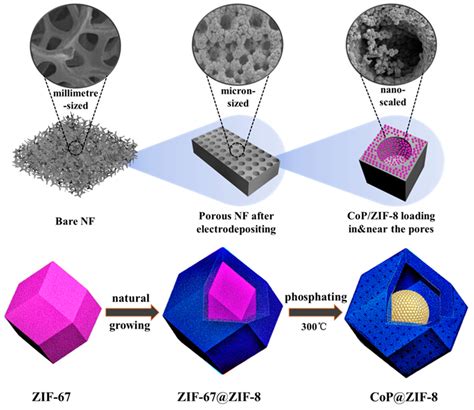 Nanomaterials Free Full Text Highly Efficient Spatial Three Level Cop Zif 8 Pnf Based On