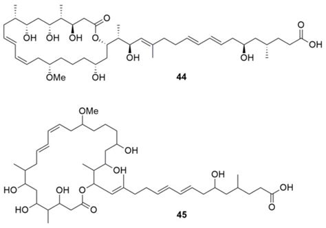 Molecules Special Issue Antibacterial Antifungal And Antiviral