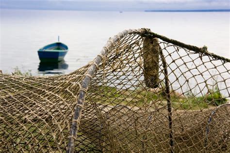 Reti Da Pesca Che Si Asciugano Sul Puntello Fotografia Stock Immagine