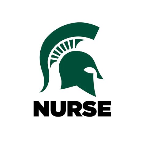 Michigan State University College Of Nursing Youtube