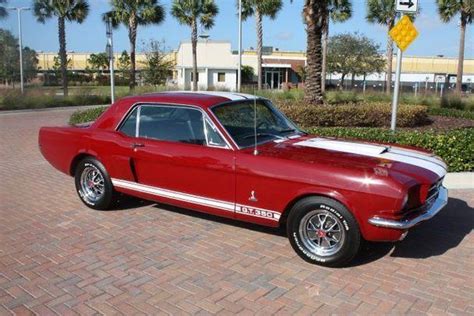 Ford Mustang Shelby Gt 350 For Sale In Sarasota Florida Classified