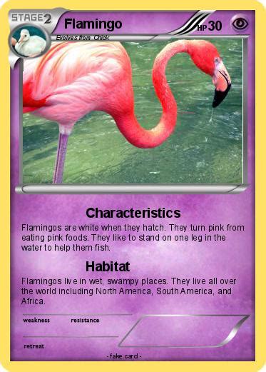 Pokémon Flamingo 16 16 - Characteristics - My Pokemon Card