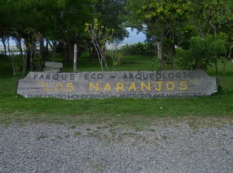 Descubre El Encanto Del Parque Eco Arqueol Gico Los Naranjos Diario