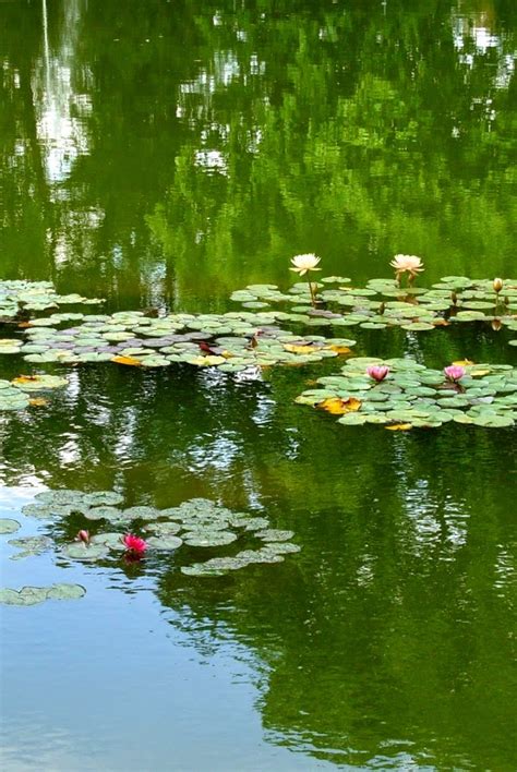 Art Et Glam Un Jour Dété Au Château Et Parc De Sceaux