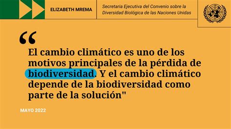 Programa Onu Medio Ambiente On Twitter La Biodiversidad Es Nuestra Mayor Defensa Natural