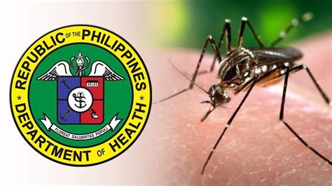 Pregnant Woman Among 12 Zika Cases In Ph