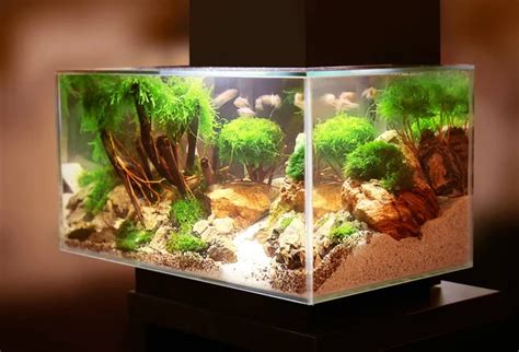 Best Aquarium Led Lighting [2022] An Experts Buying Guide