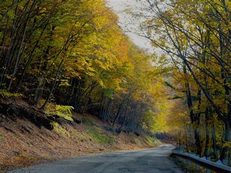 Foliage In Abruzzo Come In Una Fiaba Meditour