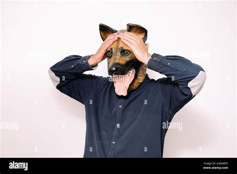 person in dog mask holds hands to head in surprise or concern on white ...