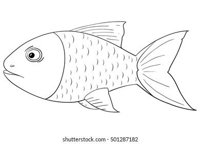 Fish Outline Drawing Vector Illustration Isolated Stock Vector Royalty