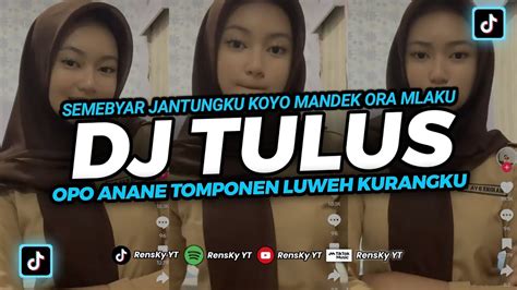 Dj Tulus Dj Opo Anane Tomponen Luwih Kurangku Semebyar Jantungku