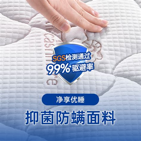 床垫席梦思独立弹簧椰棕20cm厚家用卧室乳胶软垫十大海名牌马官方虎窝淘