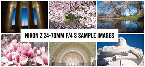 Nikon Z 24-70mm f4 S Sample Images - Real-World Examples