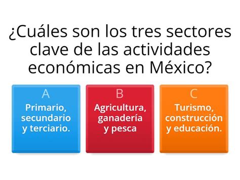 Division De Actividades Economica En Mexico Quiz