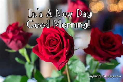 200 Romantic Good Morning Wishes With Roses Flowers Hd