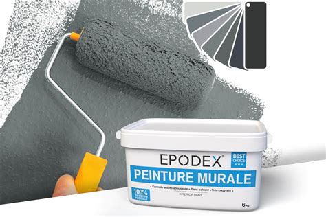 Peinture Murale De Haute Qualit Couleurs Grises Et Noires Epodex