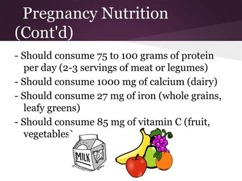 PPT - Nutrition During Pregnancy PowerPoint Presentation - ID:2600675