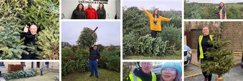 Let The Kirkwood Collect And Recycle Your Real Christmas Tree The