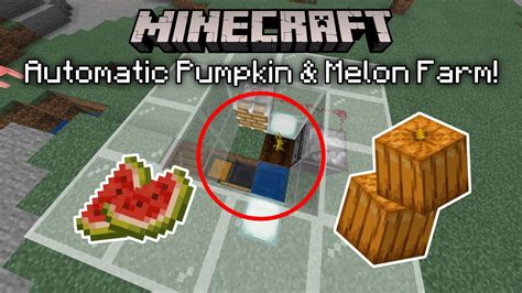 How To Build An Automatic Pumpkin And Melon Farm In Minecraft 116 Bedrock Edition Java