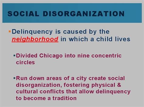 Chapter Sociological Views Of Delinquency Learning Objectives