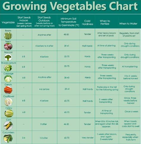 Guidelines For Growing Vegetables Chart Survival Spot