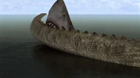 Mega Shark Vs Crocosaurus 2010 MUBI