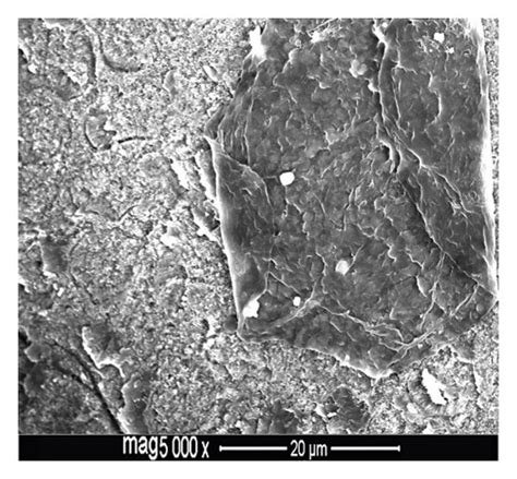 Fe Sem Images Of Premolar Buccal Enamel Surfaces Etched With Tsep And