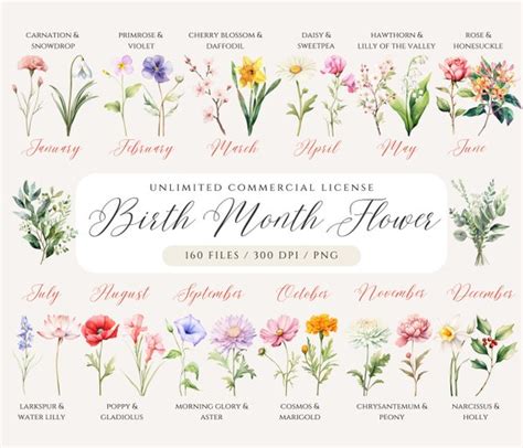 Floral Clipart Wildflower SVG Transparent PNG Rose Birth Month Flowers