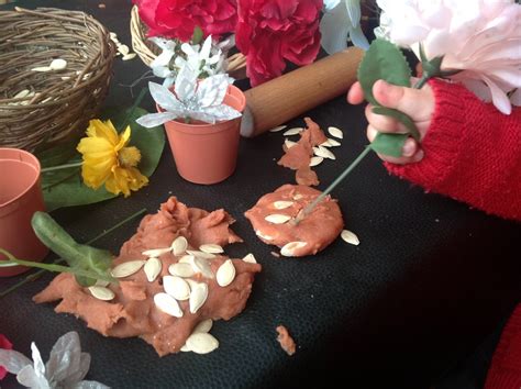 Pre-school Play: Playdough, flowers and seeds.....