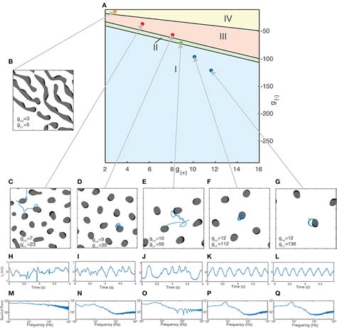 Frontiers Complex Dynamics Of Propagating Waves In A Two Dimensional