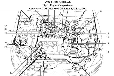 Firing Diagram 97 Toyota Avalon 1997 Toyota Avalon Engine Di