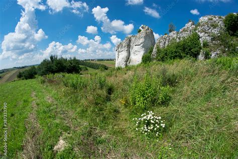 Jura Krakowsko Cz Stochowska Wapienne Ska Y Park Krajobrazowy Dolinki