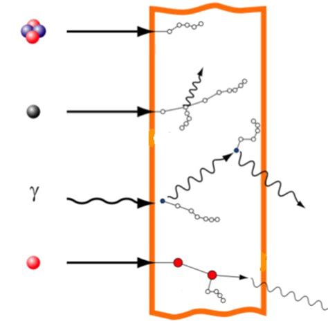 Interactions Of Neutrons With Matter Where N Represents A Neutron