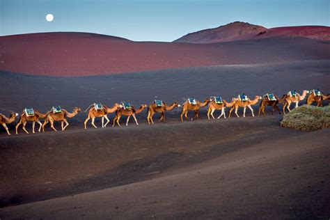 Timanfaya National Park